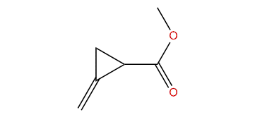 Methyl 2-methylenecyclopropanecarboxylate